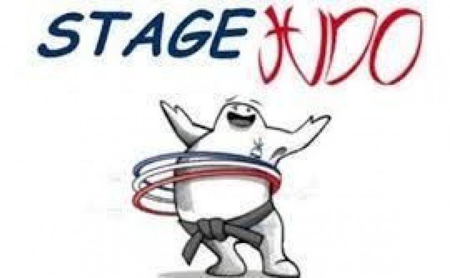 STAGE POUSSINS ET MINI POUSSINS