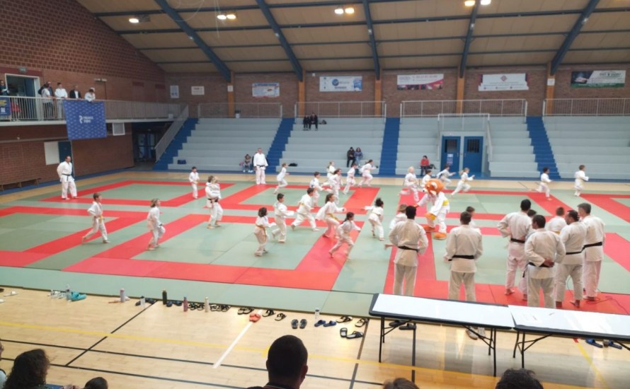 STAGE POUSSINS A PROVILLE