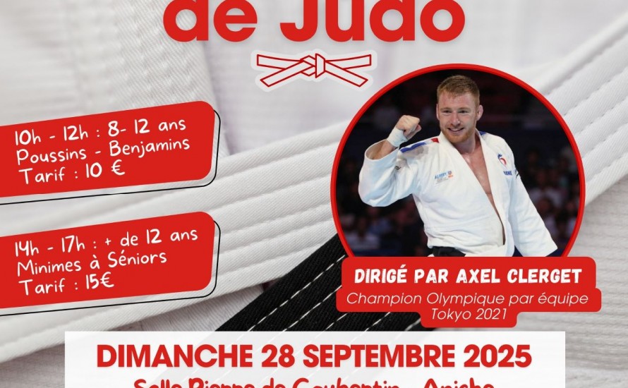 STAGE DE JUDO A ANICHE